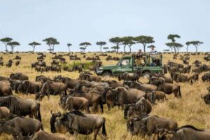 kenya-safari-1024×682-1